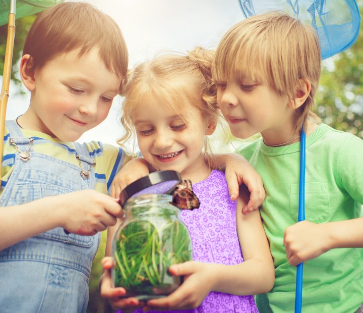 Three children engaging in outdoor play while looking at insects in a jar