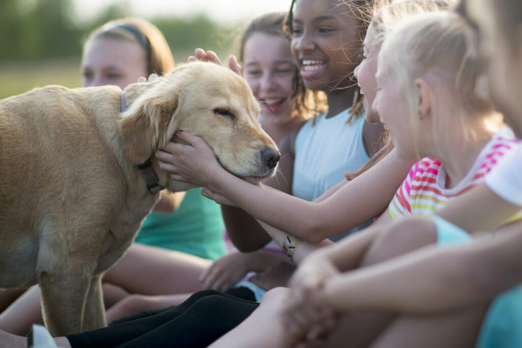 Children petting a golden retriever, representing the reminder to wash your hands after touching animals, a good hygiene practice